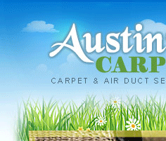 Austin Rugs Cleaning Services